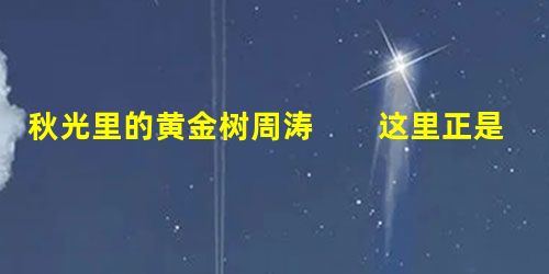秋光里的黄金树周涛 这里正是秋天。 它辉煌的告别仪式正在山野间、河谷里轰轰烈烈地展开:它才不管 秋光里的黄金树周涛 这里正是秋天。 它辉煌的告别仪式正在山野间、河谷里轰轰烈烈地展开:它才不管
