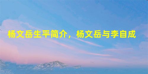 杨文岳生平简介,杨文岳与李自成之间的战争 杨文岳生平简介,杨文岳与李自成之间的战争