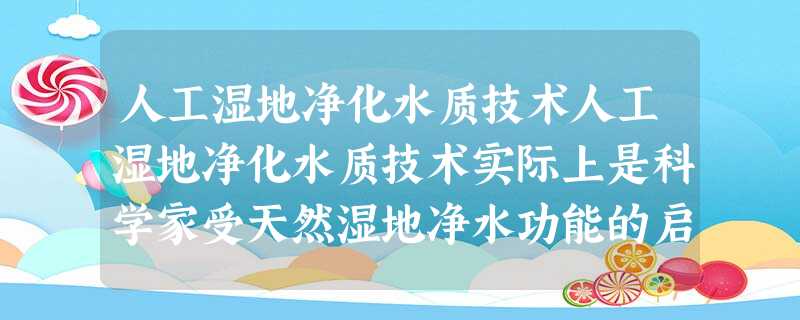 人工湿地净化水质技术人工湿地净化水质技术实际上是科学家受天然湿地净水功能的启发而发明的一项技术。天然湿地有丰富的野生植被及大量的生 人工湿地净化水质技术人工湿地净化水质技术实际上是科学家受天然湿地净水功能的启发而发明的一项技术。天然湿地有丰富的野生植被及大量的生
