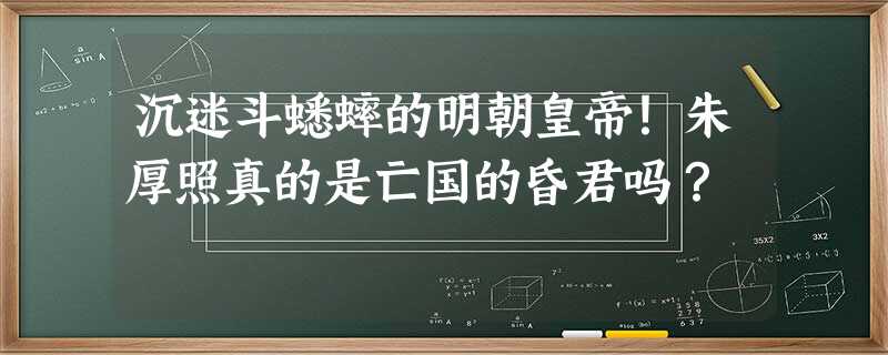 沉迷斗蟋蟀的明朝皇帝!朱厚照真的是亡国的昏君吗? 沉迷斗蟋蟀的明朝皇帝!朱厚照真的是亡国的昏君吗?