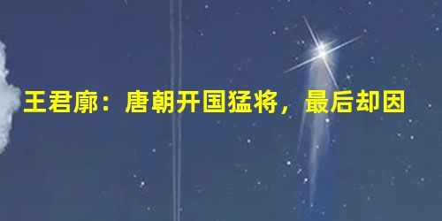 王君廓:唐朝开国猛将,最后却因不识字被杀 王君廓:唐朝开国猛将,最后却因不识字被杀