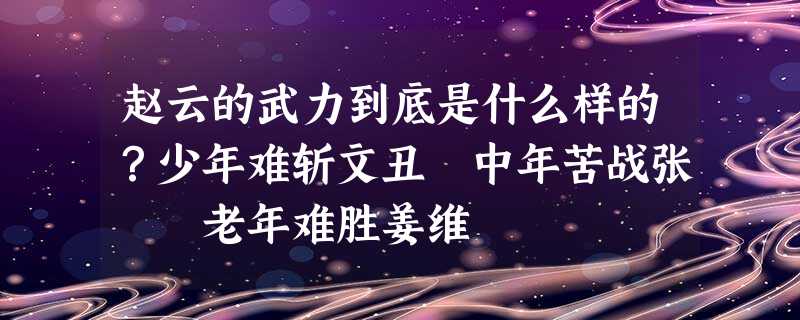 赵云的武力到底是什么样的?少年难斩文丑 中年苦战张郃 老年难胜姜维 赵云的武力到底是什么样的?少年难斩文丑 中年苦战张郃 老年难胜姜维