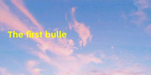 The first bullet "train designed and manufactured in China with a speed of 300 k The first bullet "train designed and manufactured in China with a speed of 300 k