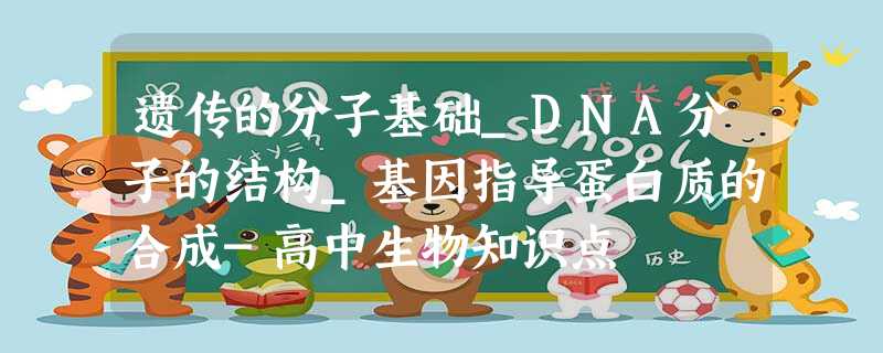 遗传的分子基础_DNA分子的结构_基因指导蛋白质的合成-高中生物知识点 遗传的分子基础_DNA分子的结构_基因指导蛋白质的合成-高中生物知识点