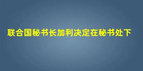 联合国秘书长加利决定在秘书处下设置3个部级机构 联合国秘书长加利决定在秘书处下设置3个部级机构