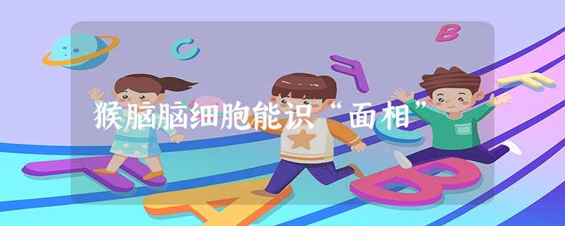 猴脑脑细胞能识“面相” 猴脑脑细胞能识“面相”