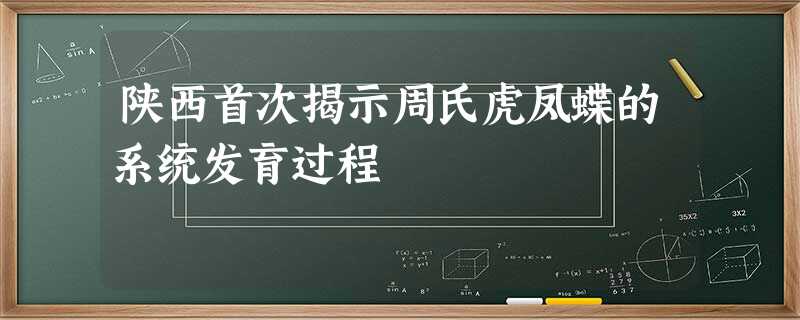 陕西首次揭示周氏虎凤蝶的系统发育过程 陕西首次揭示周氏虎凤蝶的系统发育过程