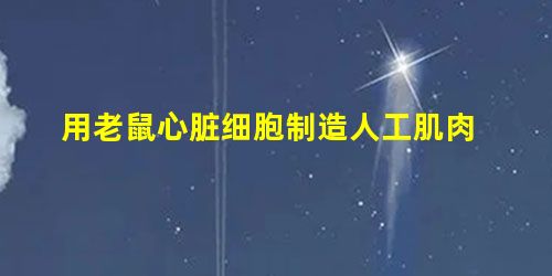 用老鼠心脏细胞制造人工肌肉 用老鼠心脏细胞制造人工肌肉