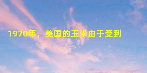 1970年,美国的玉米由于受到一种叶菌的危害而严重减产。后在墨西哥发现了对这种病菌有抗性的植物,从而为改良玉米品种找到了必要的基因。这一事实体现了野生生物 1970年,美国的玉米由于受到一种叶菌的危害而严重减产。后在墨西哥发现了对这种病菌有抗性的植物,从而为改良玉米品种找到了必要的基因。这一事实体现了野生生物