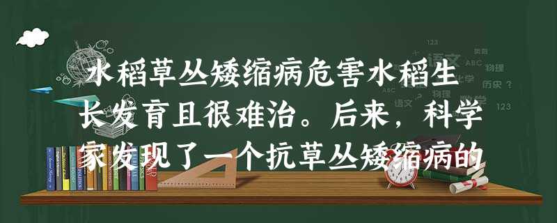 水稻草丛矮缩病危害水稻生长发育且很难治。后来,科学家发现了一个抗草丛矮缩病的野生水稻种群,并利用它的抗病基因培育出抗病的新品系水稻。这是利用了野生生 水稻草丛矮缩病危害水稻生长发育且很难治。后来,科学家发现了一个抗草丛矮缩病的野生水稻种群,并利用它的抗病基因培育出抗病的新品系水稻。这是利用了野生生