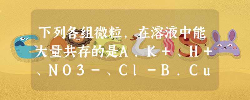下列各组微粒,在溶液中能大量共存的是A.K+、H+、NO3-、Cl-B.Cu2+、Cl-、OH-、SO42-C.H+、Na+、CO32-、Cl-D.Ca 下列各组微粒,在溶液中能大量共存的是A.K+、H+、NO3-、Cl-B.Cu2+、Cl-、OH-、SO42-C.H+、Na+、CO32-、Cl-D.Ca