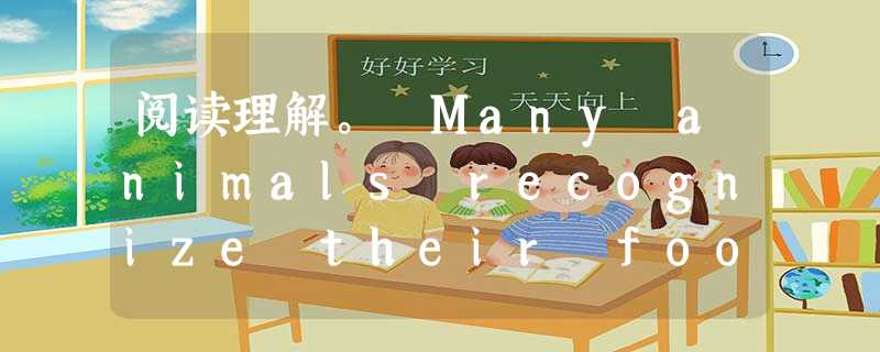 阅读理解。 Many animals recognize their food because they see it. So do humans. 阅读理解。 Many animals recognize their food because they see it. So do humans.