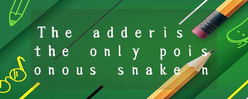 The adderis the only poisonous snake nativeto Britain. Adders have the most high The adderis the only poisonous snake nativeto Britain. Adders have the most high