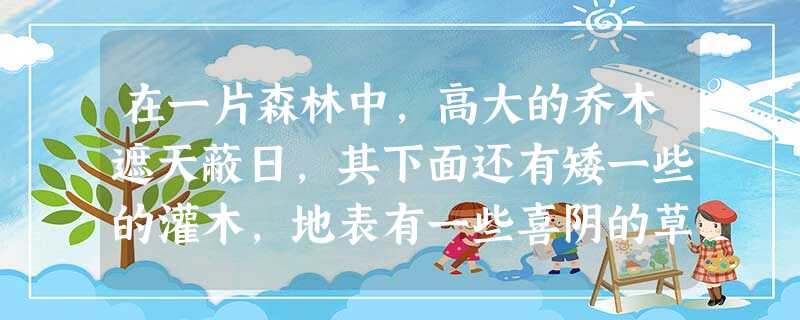 在一片森林中,高大的乔木遮天蔽日,其下面还有矮一些的灌木,地表有一些喜阴的草本层和地被层,同时因透光强度不同的地点,地表的植物种类也有所不同,这表明 在一片森林中,高大的乔木遮天蔽日,其下面还有矮一些的灌木,地表有一些喜阴的草本层和地被层,同时因透光强度不同的地点,地表的植物种类也有所不同,这表明