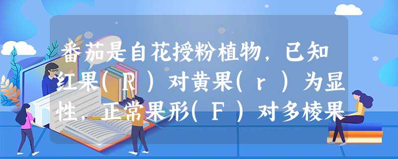 番茄是自花授粉植物,已知红果(R)对黄果(r)为显性,正常果形(F)对多棱果(f)为显性。以上两对基因分别位于非同源染色体上。现有红色多棱果品种、黄色正常 番茄是自花授粉植物,已知红果(R)对黄果(r)为显性,正常果形(F)对多棱果(f)为显性。以上两对基因分别位于非同源染色体上。现有红色多棱果品种、黄色正常