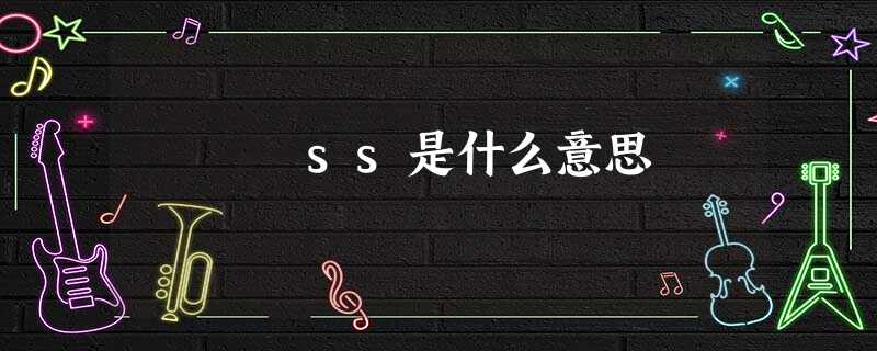ss是什么意思 ss是什么意思