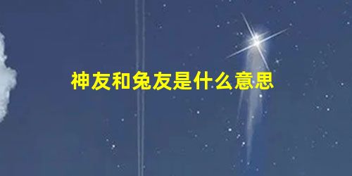 神友和兔友是什么意思 神友和兔友是什么意思