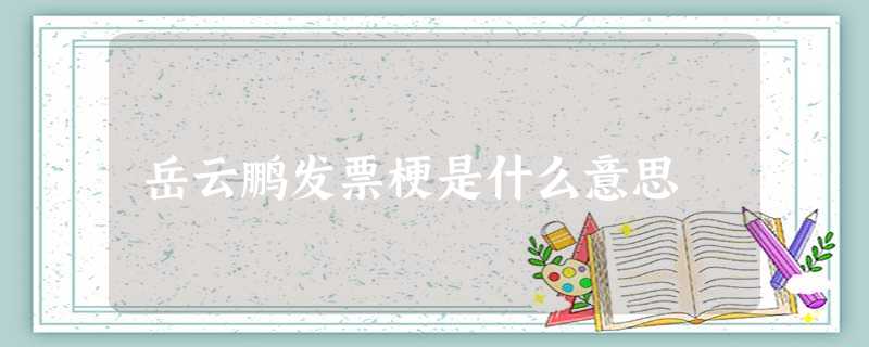 岳云鹏发票梗是什么意思 岳云鹏发票梗是什么意思
