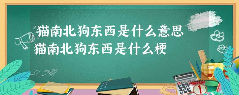 猫南北狗东西是什么意思 猫南北狗东西是什么梗 猫南北狗东西是什么意思 猫南北狗东西是什么梗