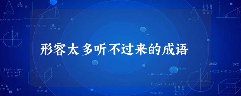 形容太多听不过来的成语 形容太多听不过来的成语