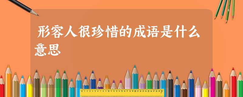 形容人很珍惜的成语是什么意思 形容人很珍惜的成语是什么意思
