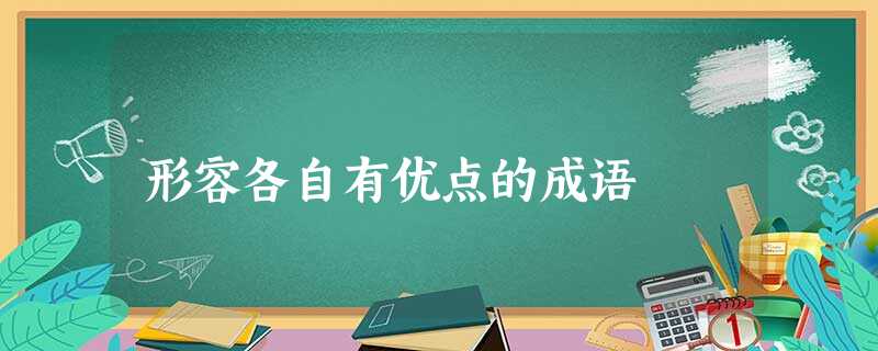 形容各自有优点的成语 形容各自有优点的成语
