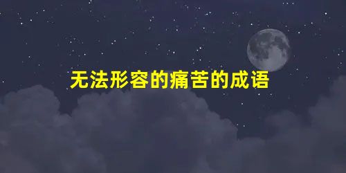 无法形容的痛苦的成语 无法形容的痛苦的成语