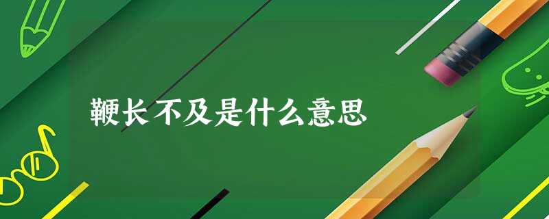 鞭长不及是什么意思 鞭长不及是什么意思