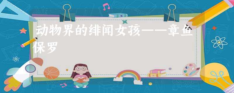 动物界的绯闻女孩——章鱼保罗 动物界的绯闻女孩——章鱼保罗