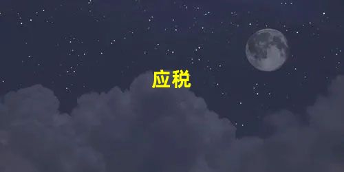 应税 应税