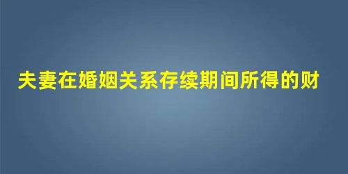 夫妻在婚姻关系存续期间所得的财产中,归夫妻共同所有的是() 夫妻在婚姻关系存续期间所得的财产中,归夫妻共同所有的是()