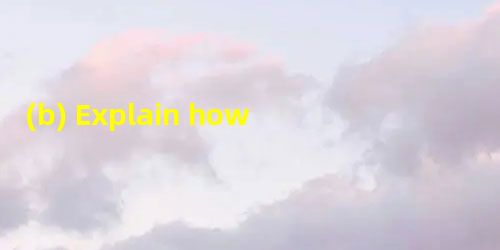 (b) Explain how the process of developing scenarios might help John better understand the (b) Explain how the process of developing scenarios might help John better understand the