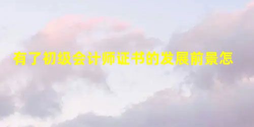 有了初级会计师证书的发展前景怎么样? 有了初级会计师证书的发展前景怎么样?