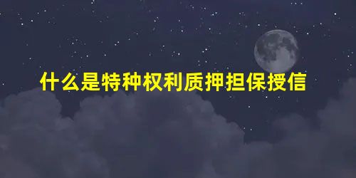 什么是特种权利质押担保授信