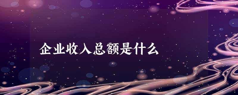 企业收入总额是什么