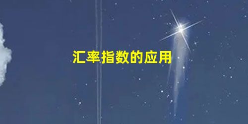 汇率指数的应用