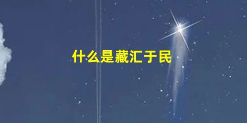 什么是藏汇于民