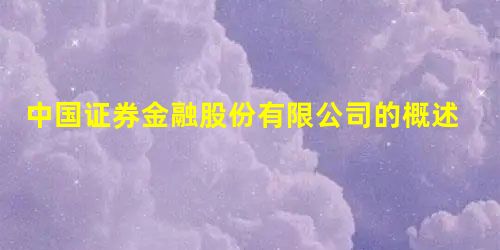 中国证券金融股份有限公司的概述
