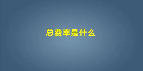 总费率是什么