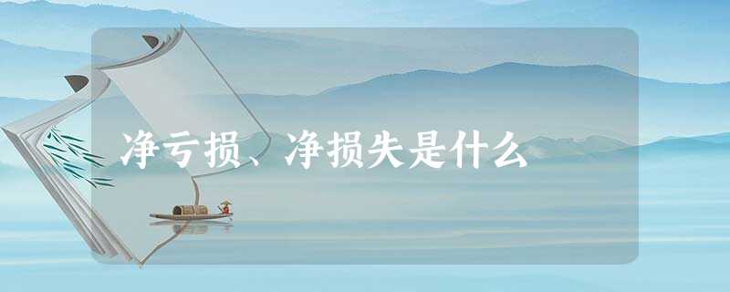 净亏损、净损失是什么