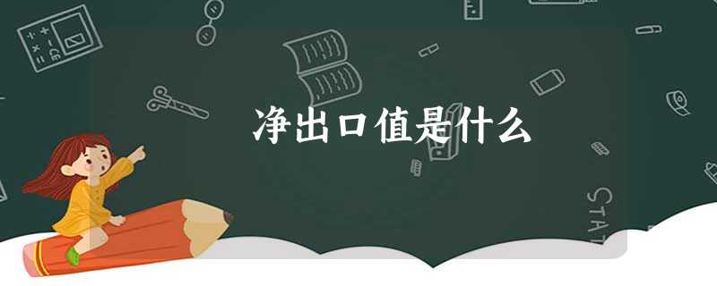 净出口值是什么