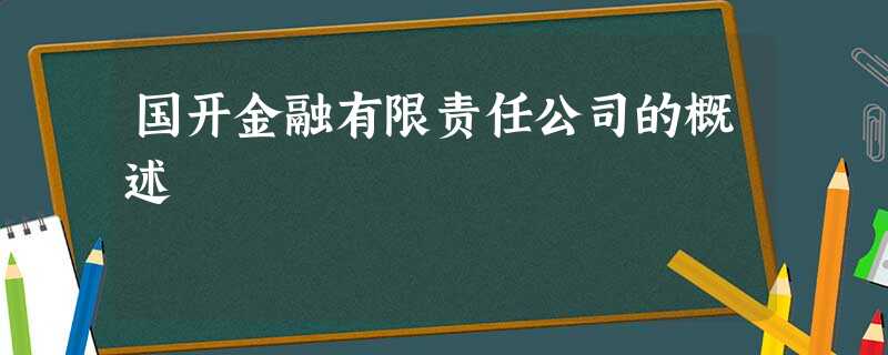 国开金融有限责任公司的概述