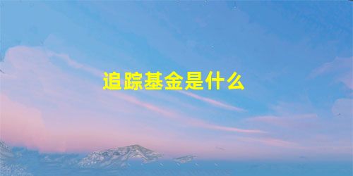 追踪基金是什么