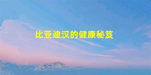 比亚迪汉的健康秘笈 比亚迪汉的健康秘笈