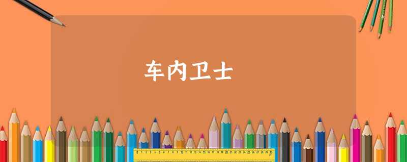 车内卫士 车内卫士