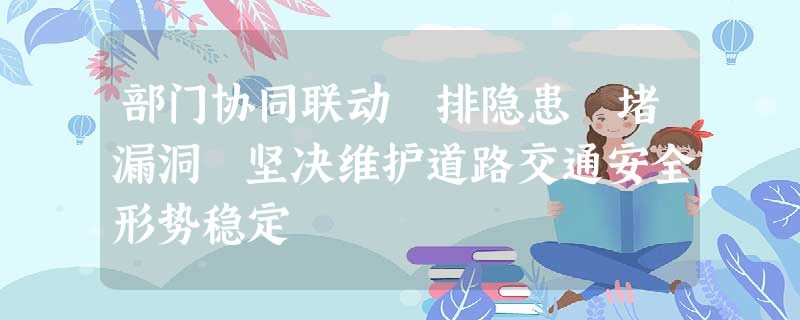 部门协同联动 排隐患 堵漏洞 坚决维护道路交通安全形势稳定 部门协同联动 排隐患 堵漏洞 坚决维护道路交通安全形势稳定