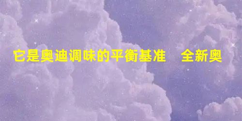它是奥迪调味的平衡基准 全新奥迪A6L 它是奥迪调味的平衡基准 全新奥迪A6L
