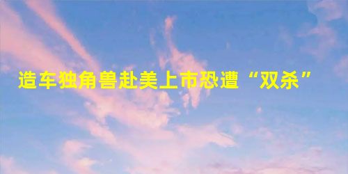 造车独角兽赴美上市恐遭“双杀” 造车独角兽赴美上市恐遭“双杀”