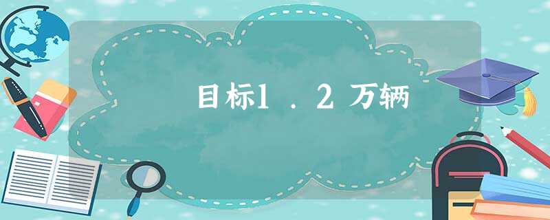 目标1.2万辆 目标1.2万辆