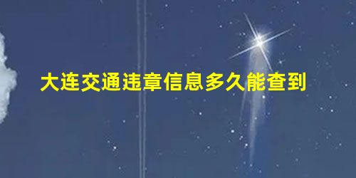 大连交通违章信息多久能查到 大连交通违章信息多久能查到